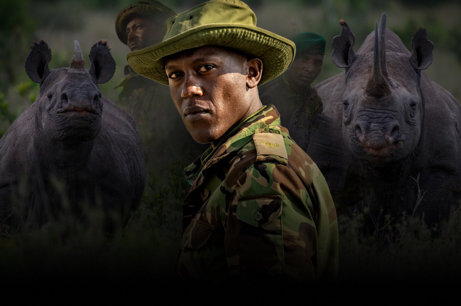 Podcast: Protectors of the Last Two Rhinos