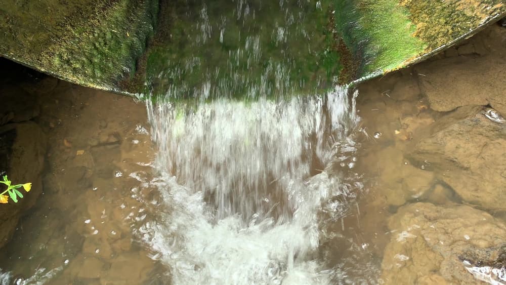 ilustrační obrázek