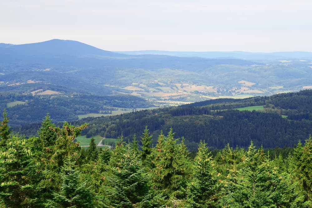 Šumava, ilustrační foto Šumava, ilustrační foto