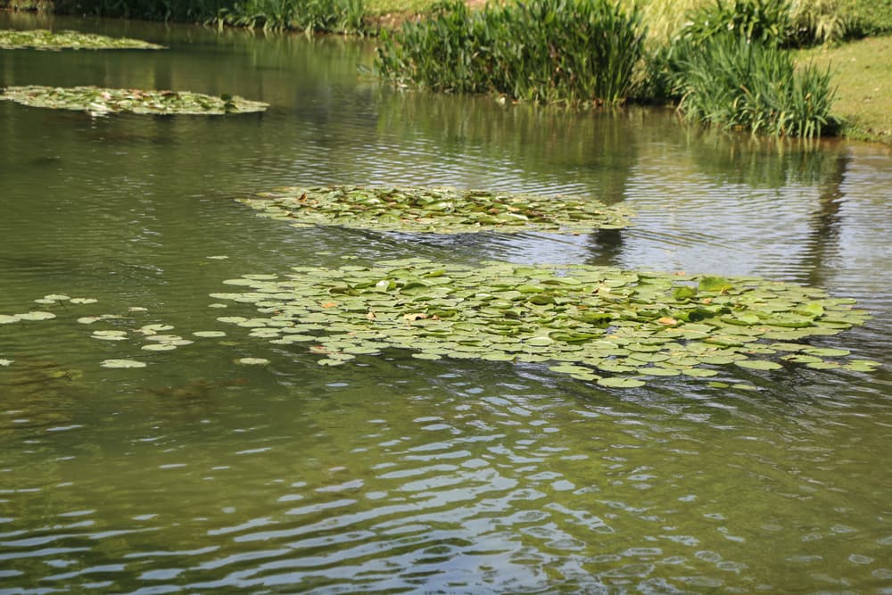 ilustrační foto ilustrační foto