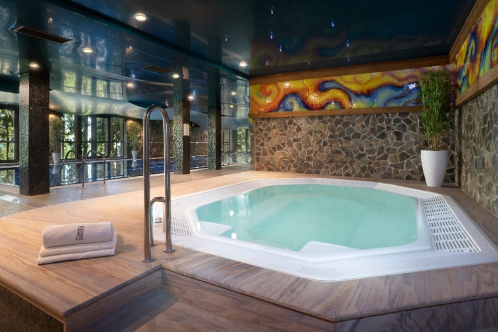 Wellness Hotel Borovica