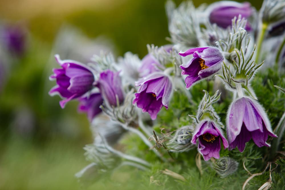 ilustrační obrázek