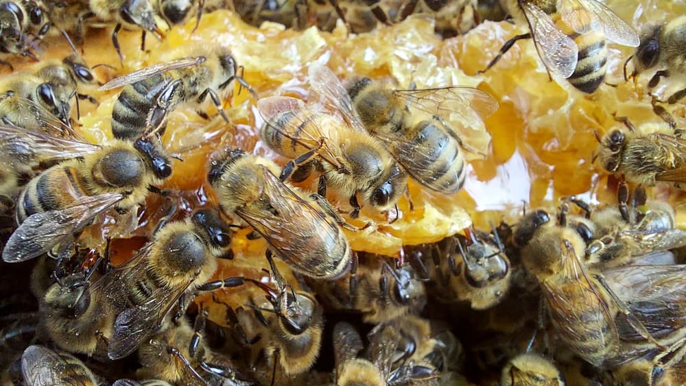 ilustrační obrázek