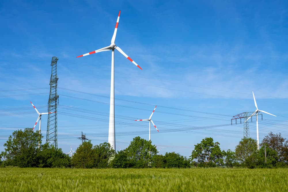 ilustrační obrázek