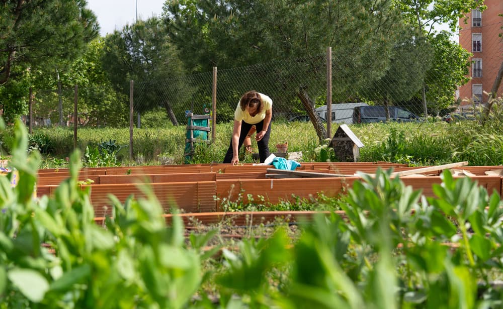 ilustrační obrázek