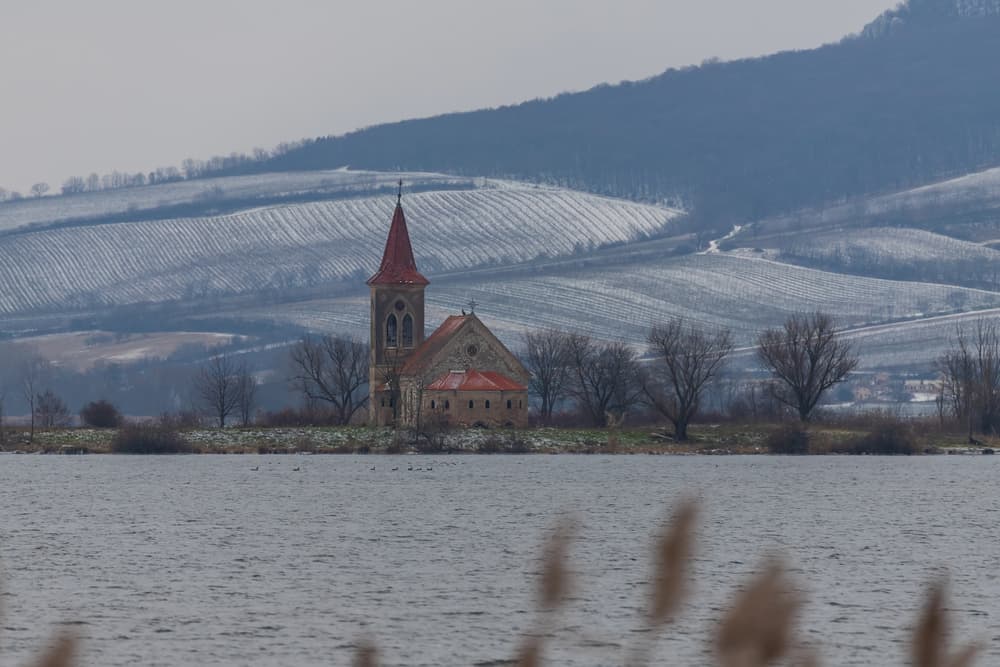 Kostel sv. Linharta, který zbyl ze zatopené vesnice Mušov Kostel sv. Linharta, který zbyl ze zatopené vesnice Mušov