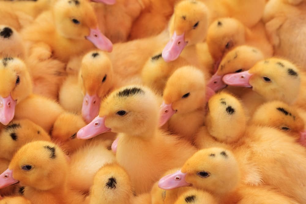 ilustrační foto ilustrační foto