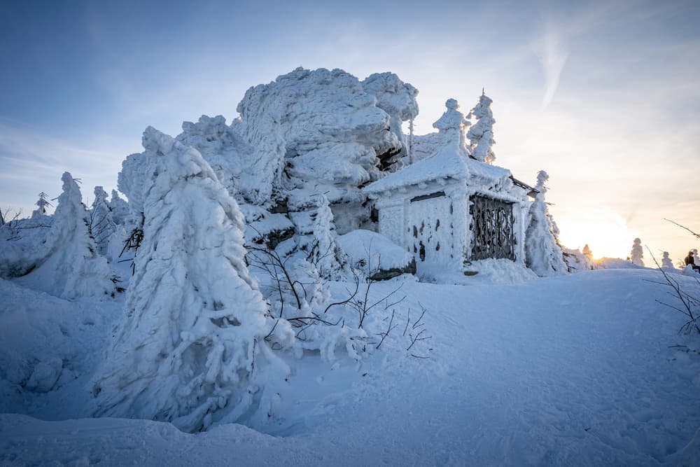 ilustrační obrázek