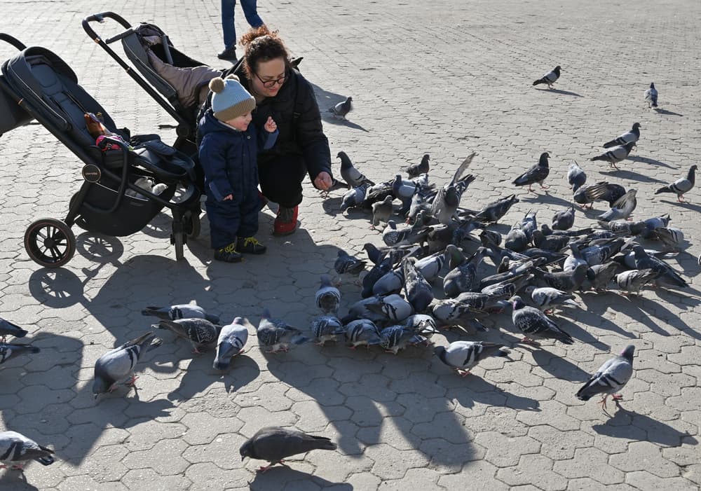 ilustrační obrázek