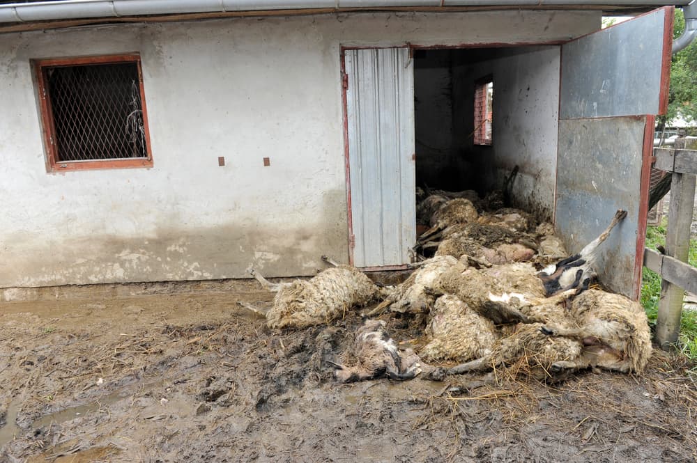 ilustrační foto ilustrační foto