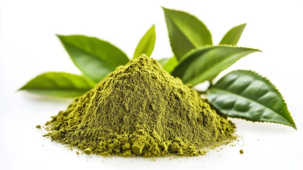 ilustrační fotografie