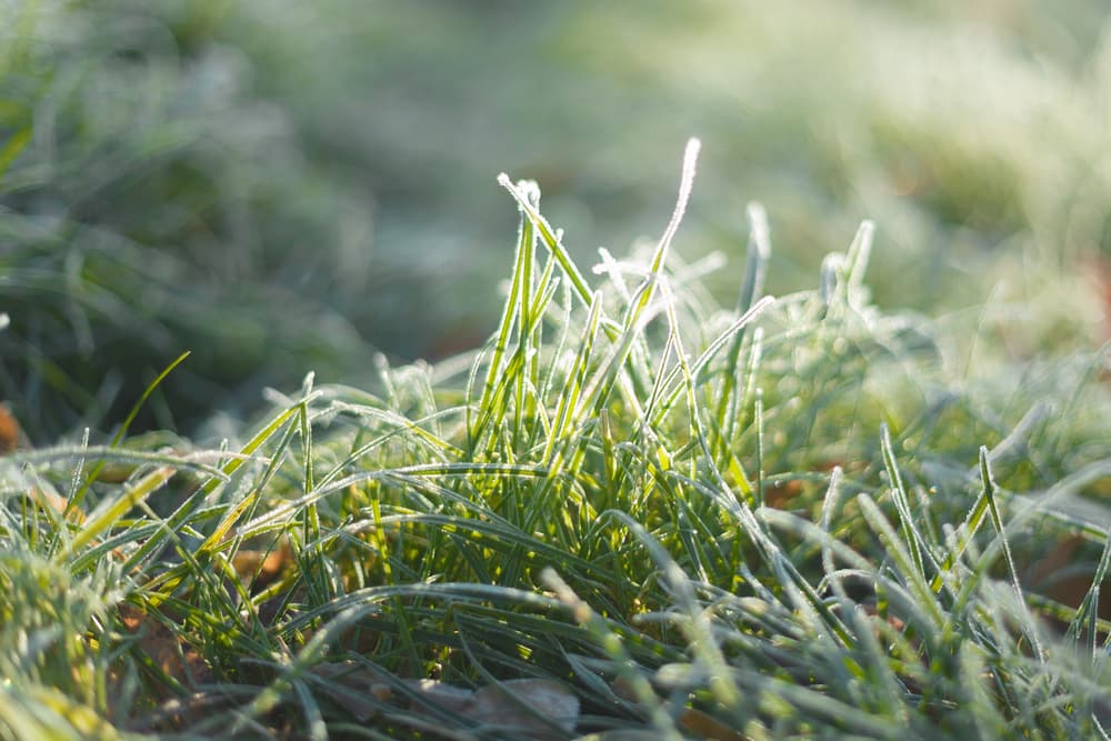 ilustrační foto ilustrační foto