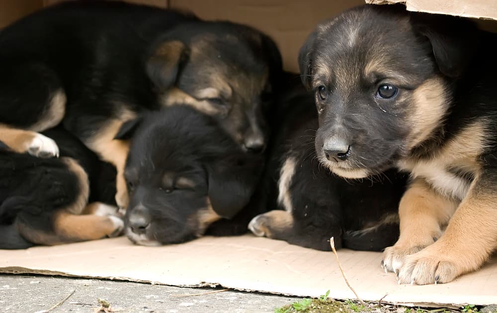 ilustrační foto ilustrační foto