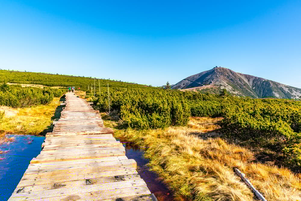 Krkonošský národní park