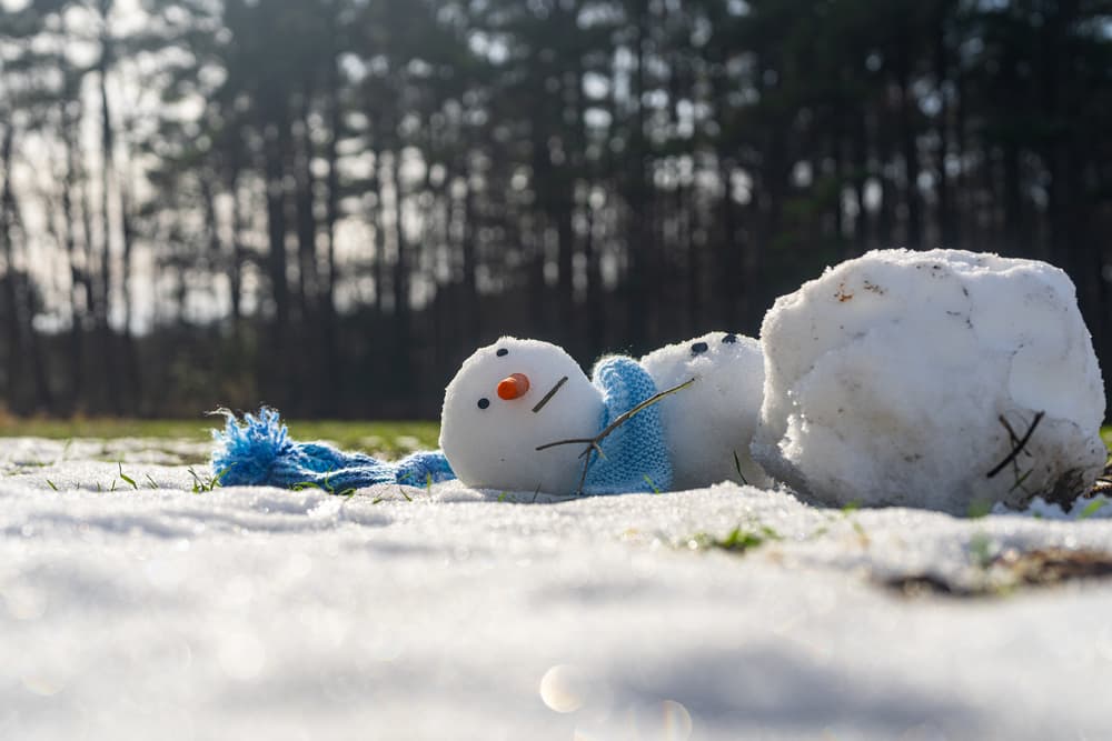 ilustrační obrázek