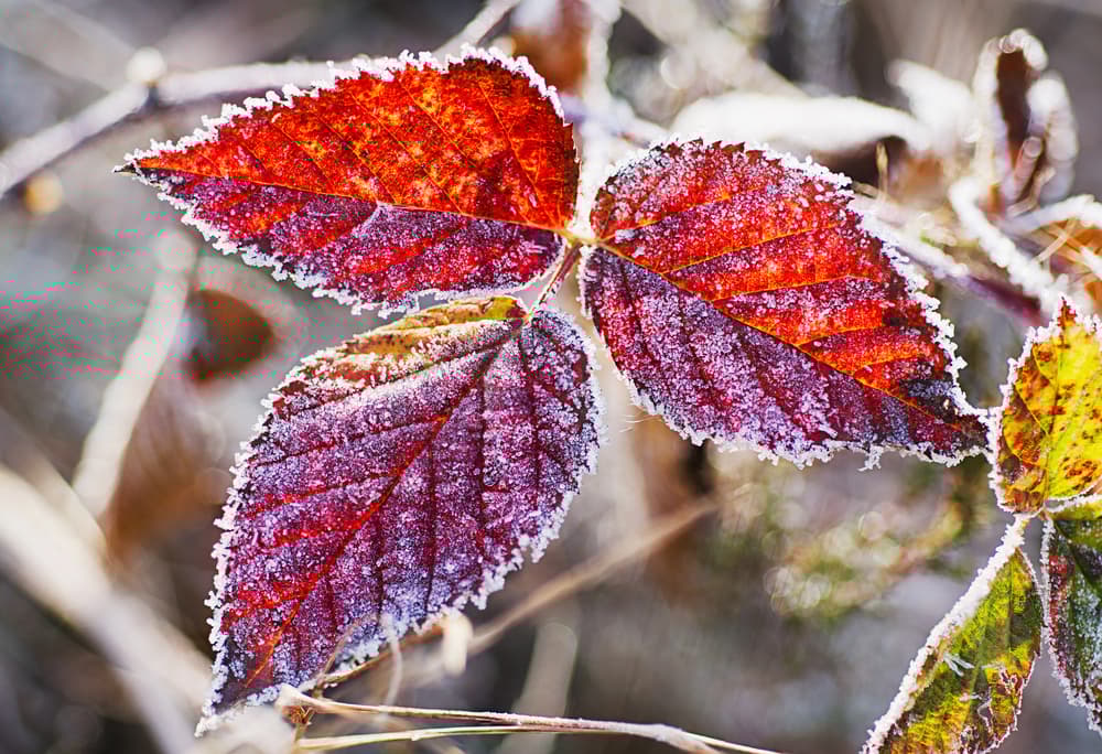 ilustrační obrázek