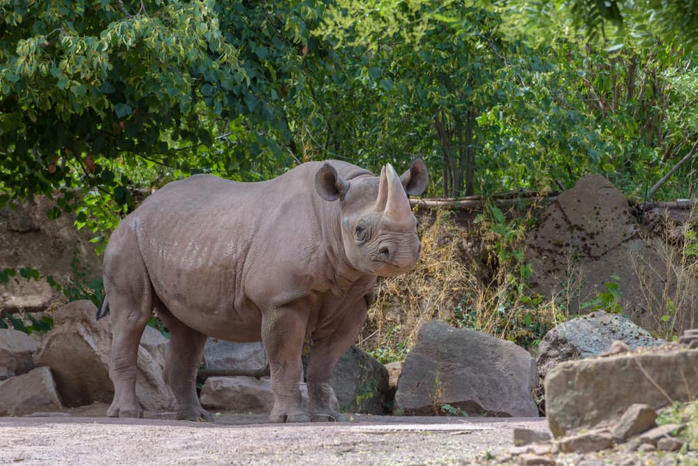 ilustrační obrázek