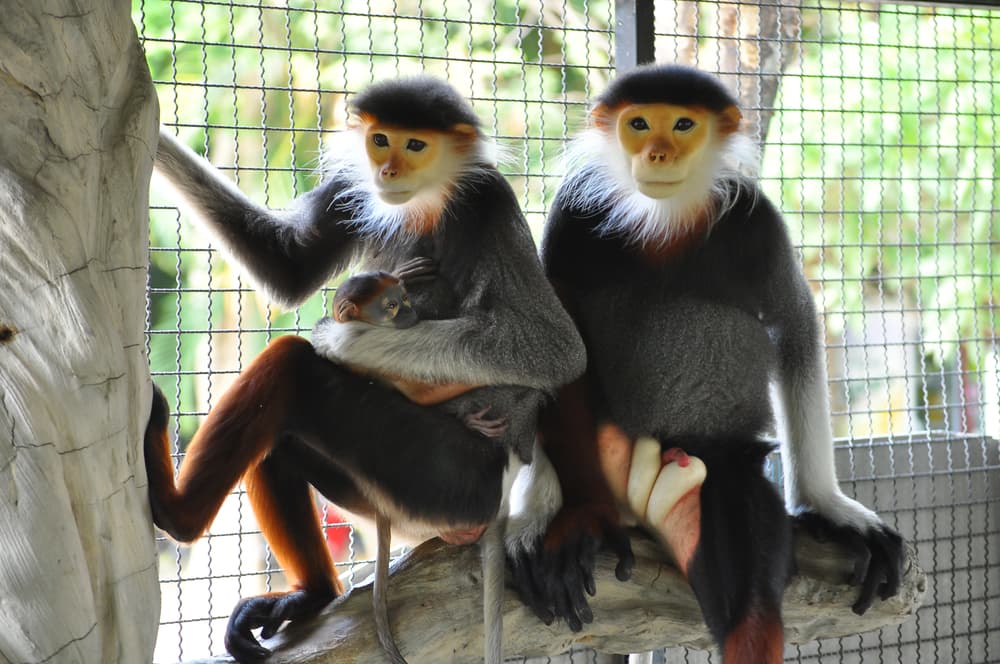 ilustrační obrázek