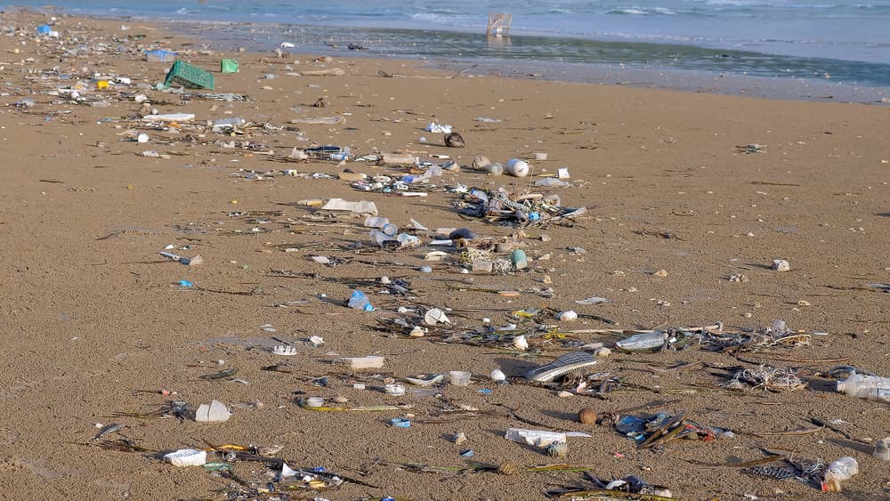 ilustrační obrázek ilustrační obrázek