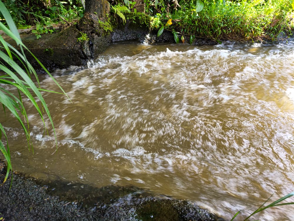 ilustrační foto ilustrační foto