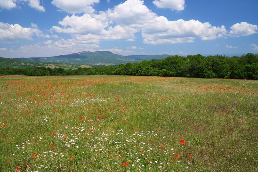 ilustrační obrázek