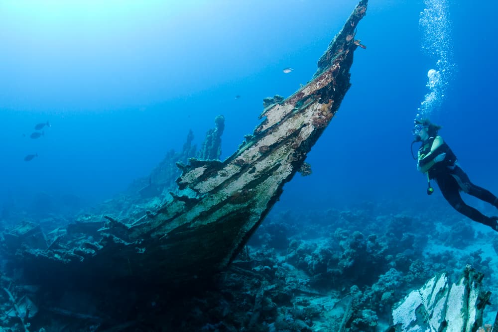 ilustrační obrázek