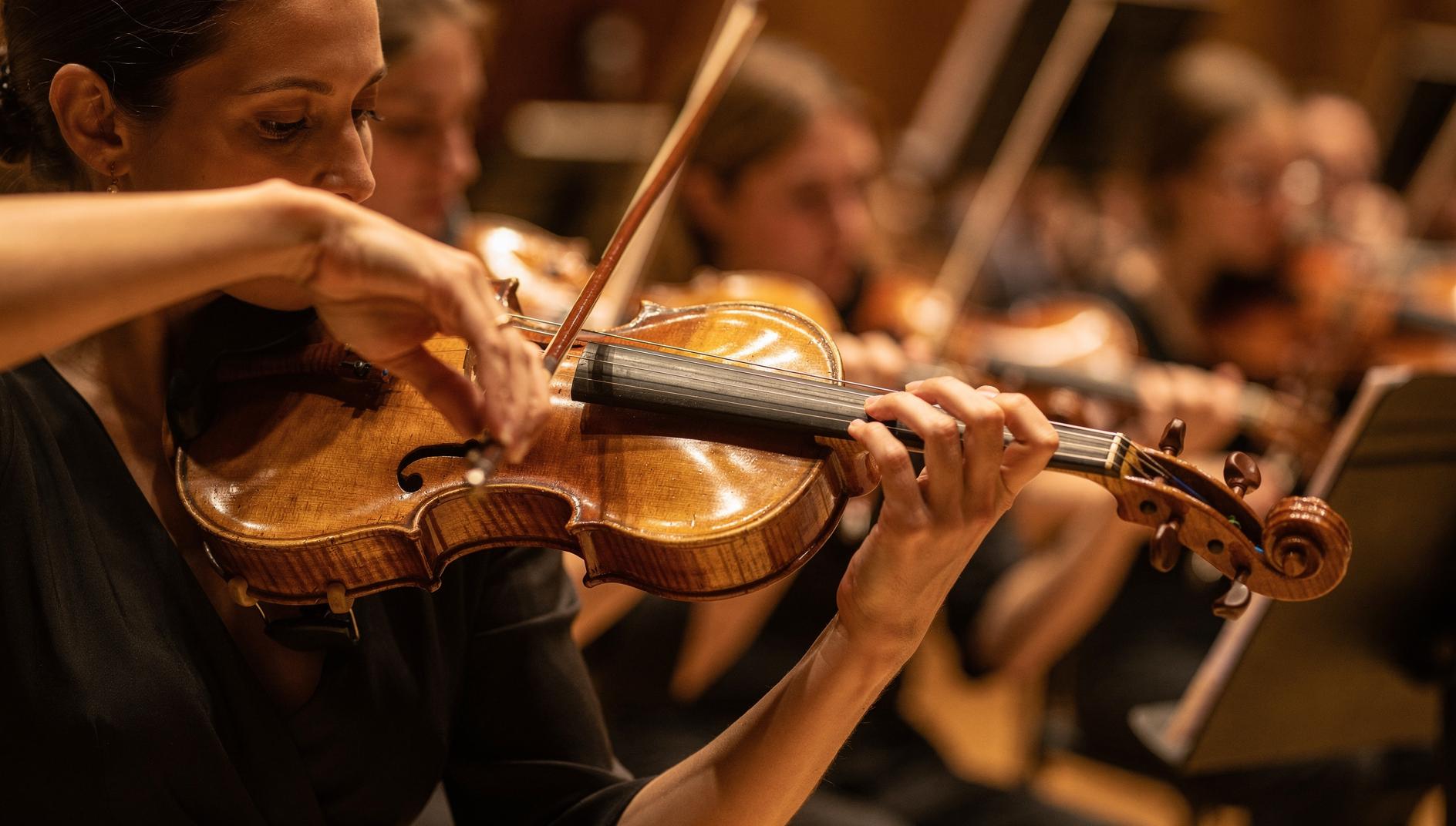 ilustrační obrázek