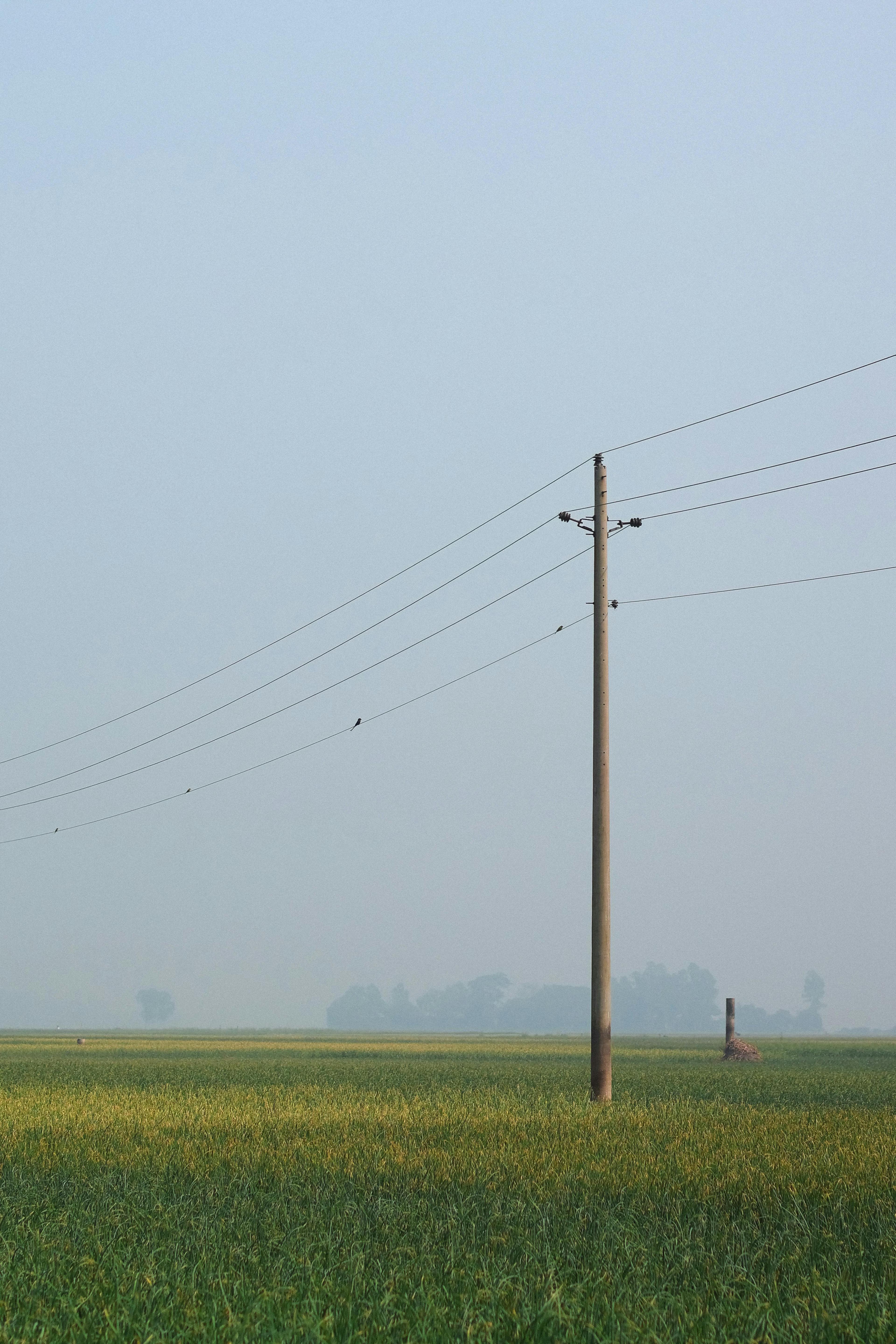 ilustrační fotografie