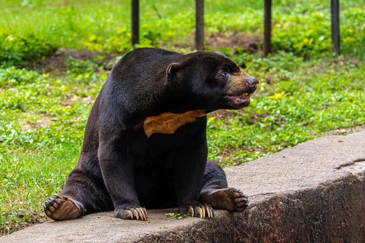 ilustrační obrázek