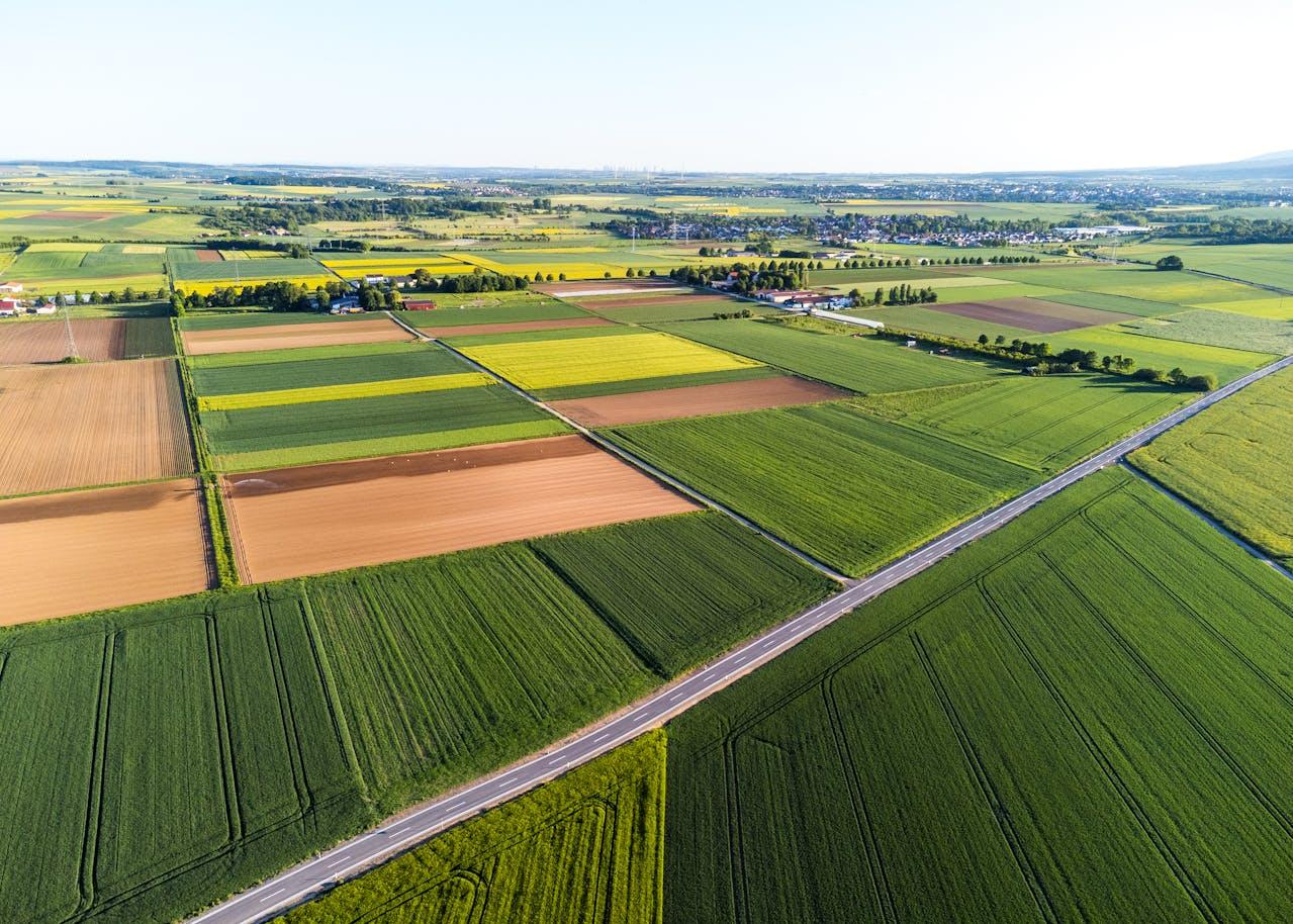 ilustrační obrázek