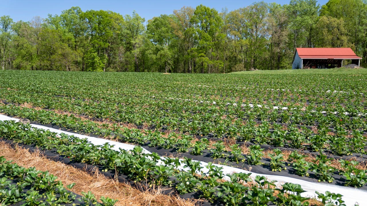 ilustrační obrázek