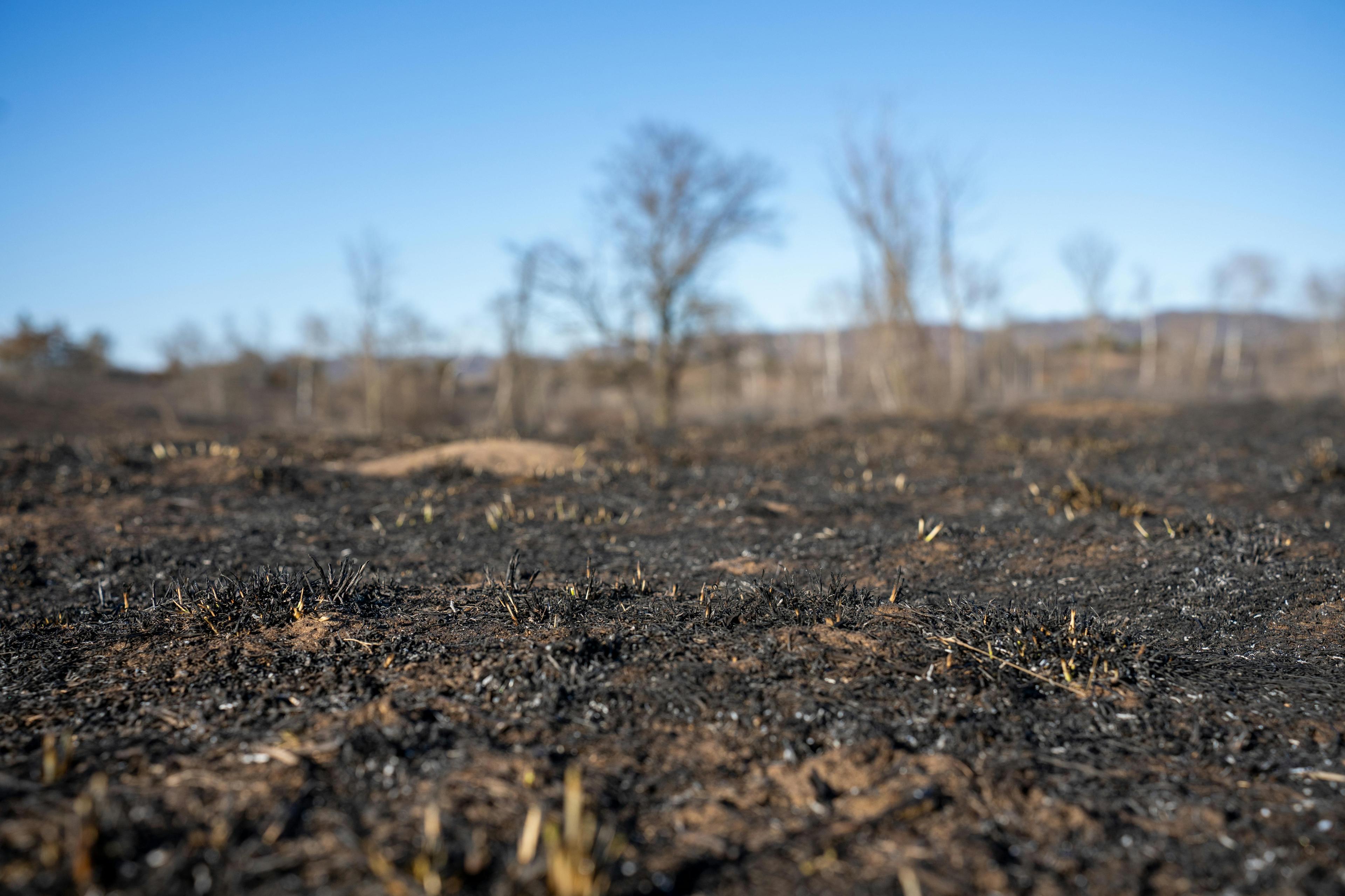 ilustrační foto ilustrační foto