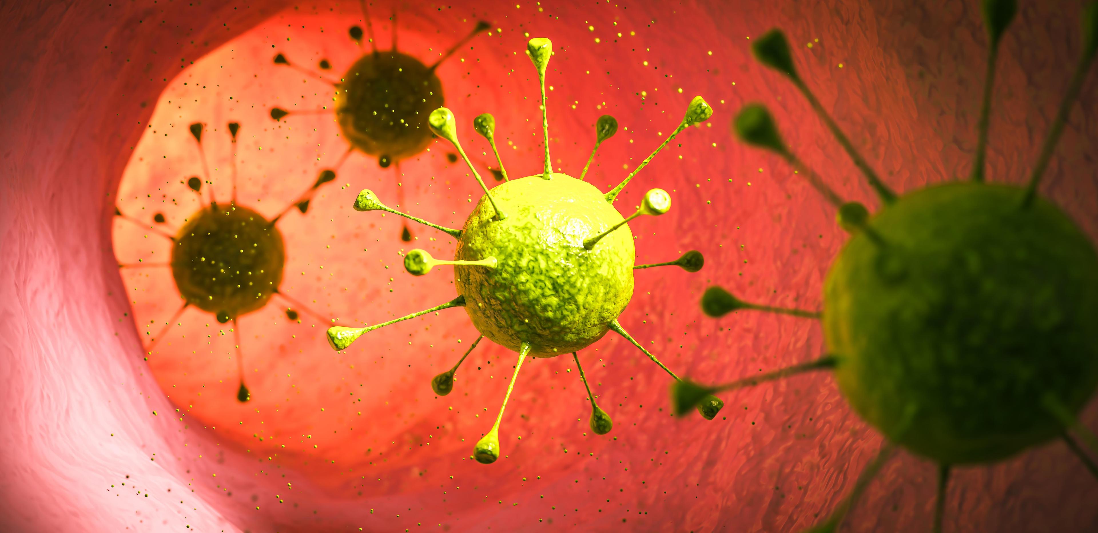 ilustrační foto ilustrační foto