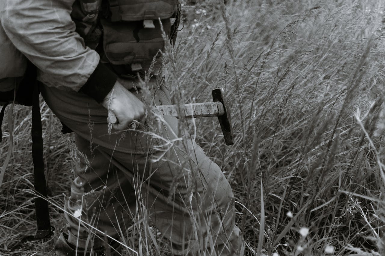 ilustrační obrázek