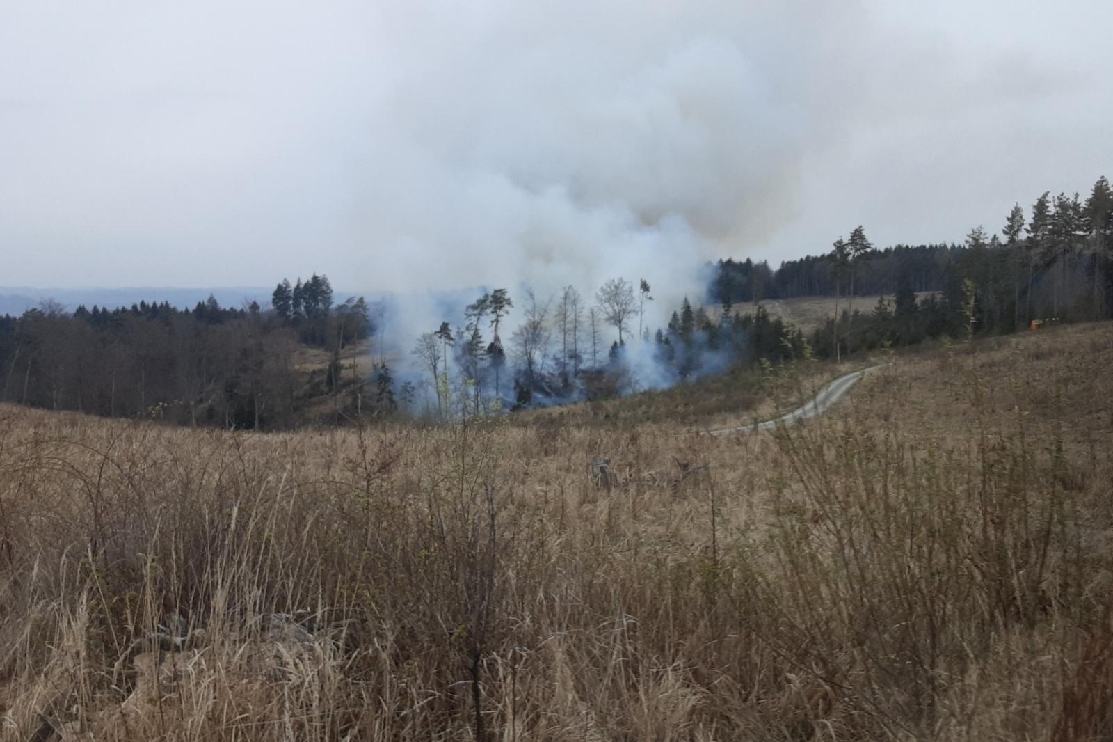 Hasiči bojují 12. dubna 2026 s požárem lesa u Doubravice nad Svitavou na Blanensku. Hoří v těžko přístupném terénu, na místě je přibližně 15 jednotek, s hašením pomáhá také policejní vrtulník. Vodu do vaku nabírá v rybníku.