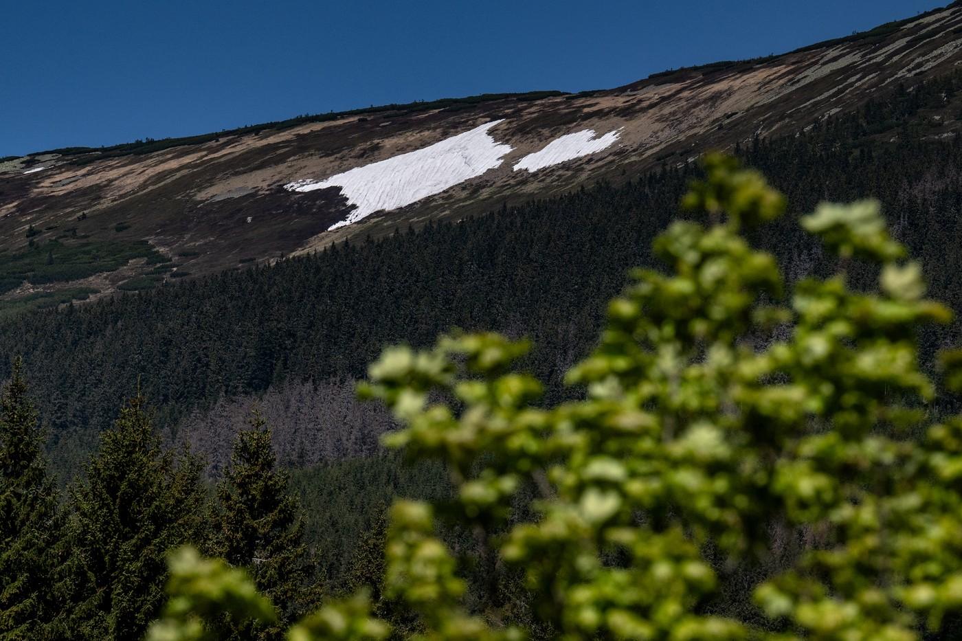 Sněhová Mapa republiky Sněhová Mapa republiky