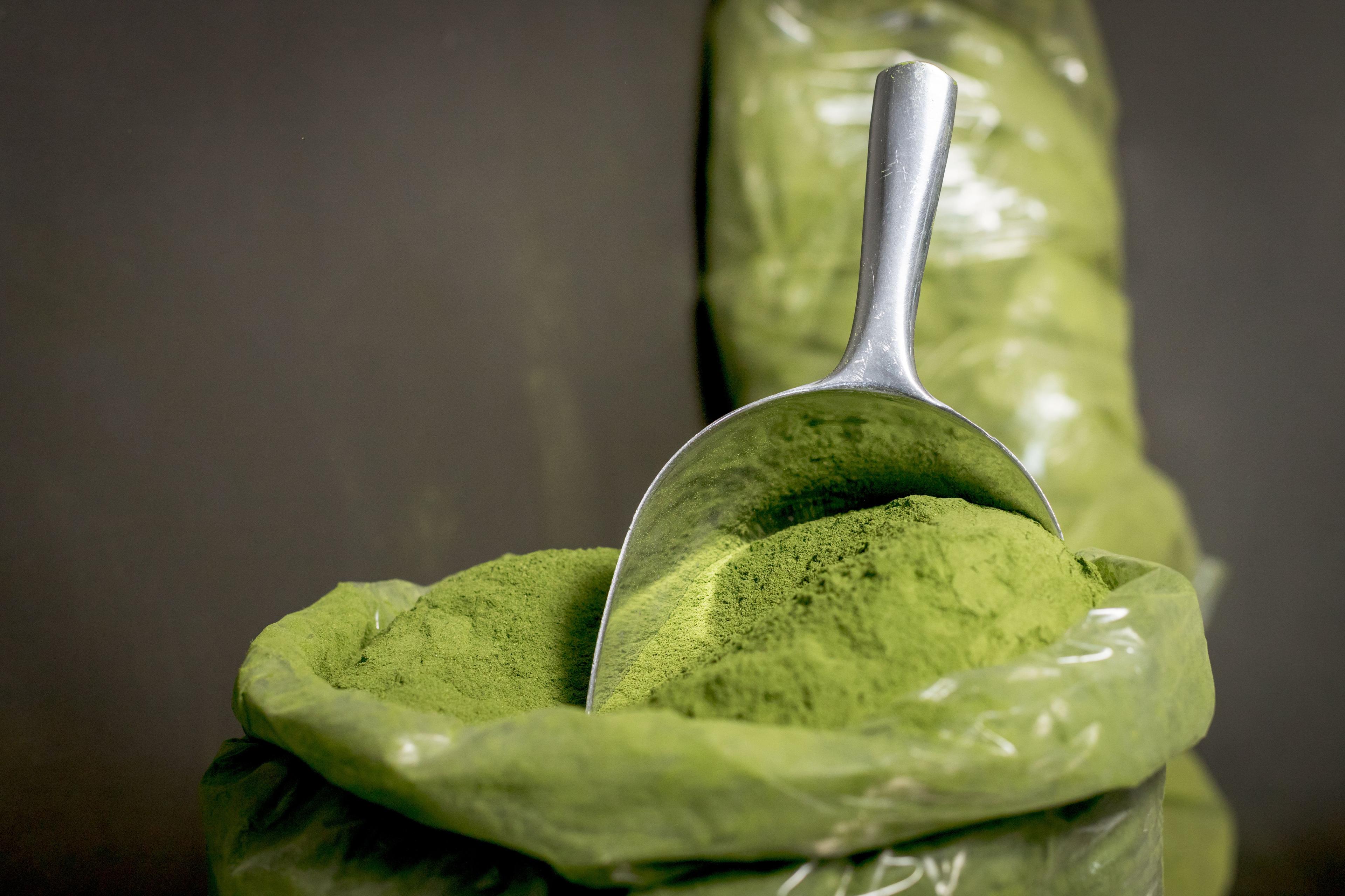 ilustrační fotografie zobrazující kratom
