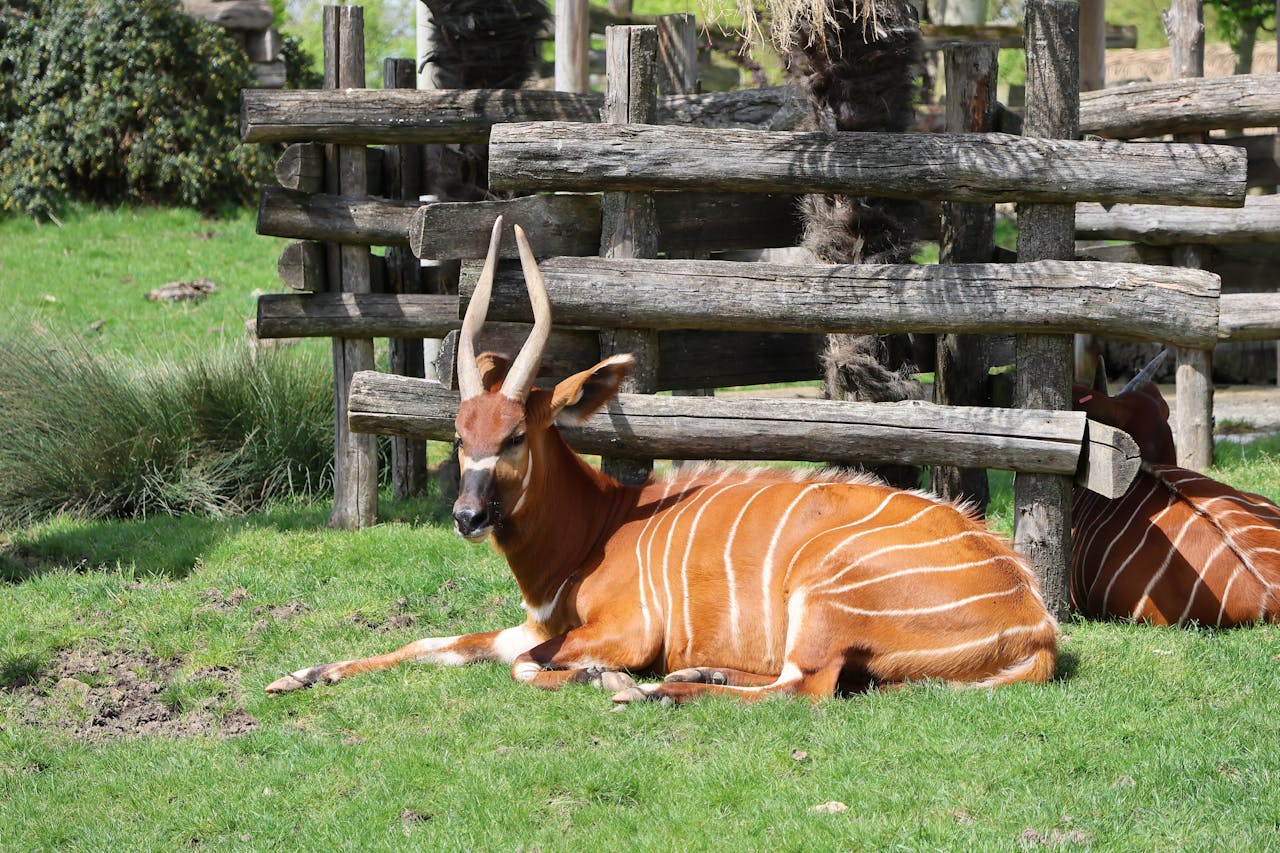 ilustrační obrázek