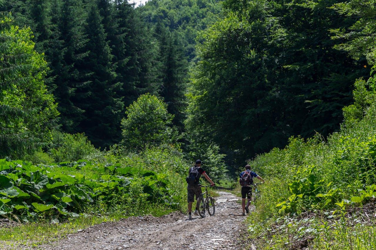 ilustrační obrázek