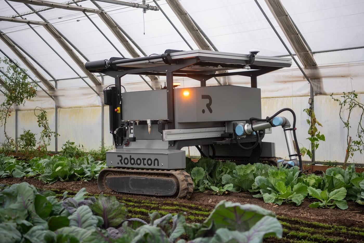 Zemědělský robot Roboton, který představili na agrosalonu Země živitelka 2024 majitelé společnosti Budex 13. září 2024, (Planá, Českobudějovicko). Robot po naprogramování samostatně plní různé úkoly, od zalévaní a plení až po sázení.