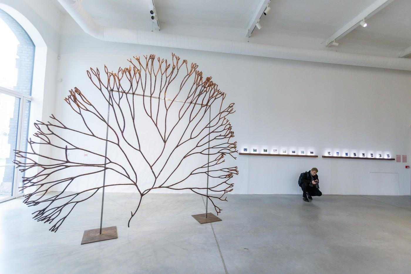 Tisková konference k výstavě Půda a přátelé, hlavního projektu roku ostravské městské galerie současného umění a programu k 10. výročí galerie Plato. Dílo švédské umělkyně IIngely Ihrmanové Velký den mořských řas 2019.