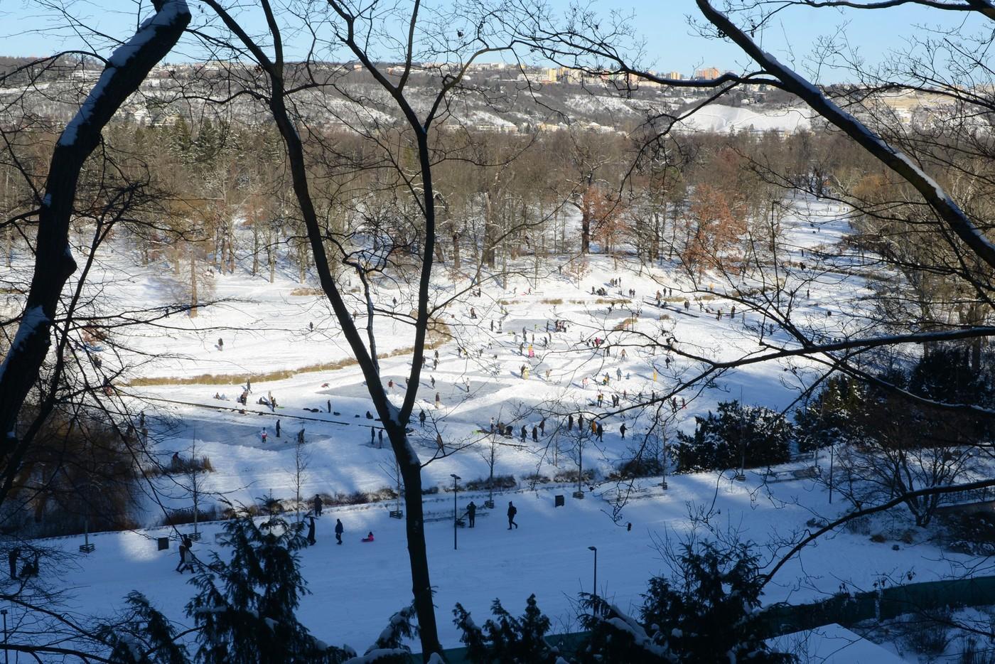 Lidé si užívají mrazivou neděli v zasněžené Stromovce.