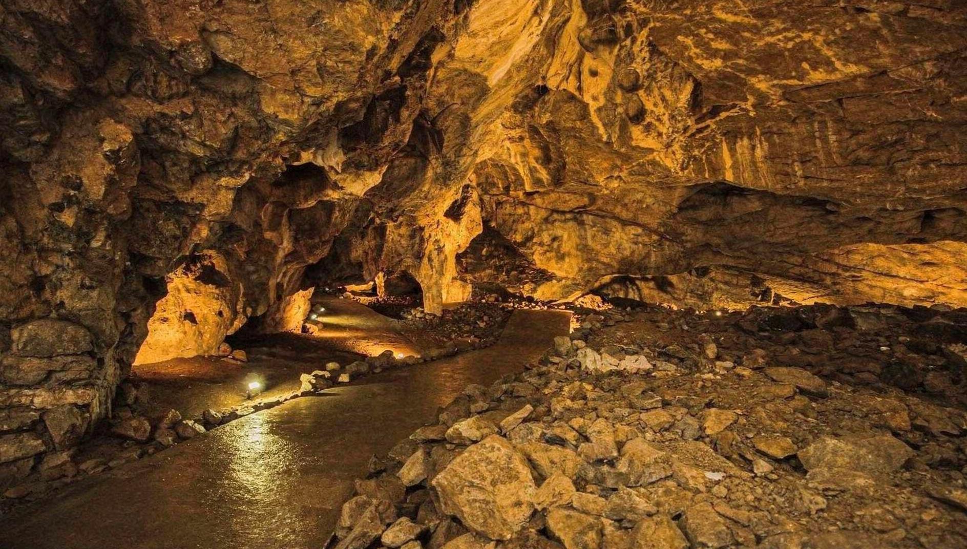 ilustrační obrázek