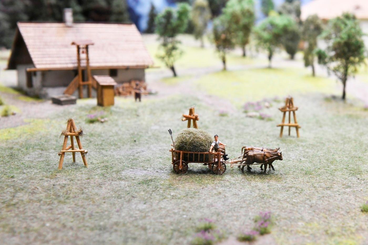 Expozice připomínající spisovatele Karla Klostermanna v Hájence Březník, 23. června 2025, Modrava.