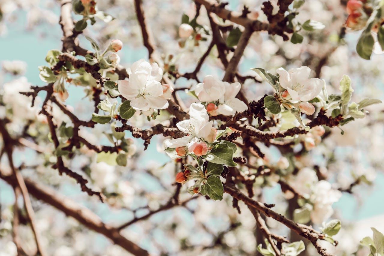 ilustrační obrázek