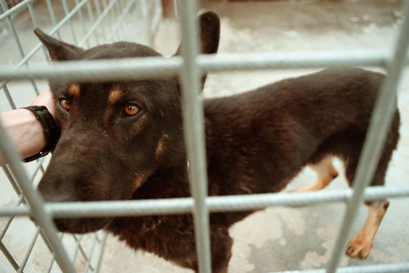 ilustrační foto ilustrační foto