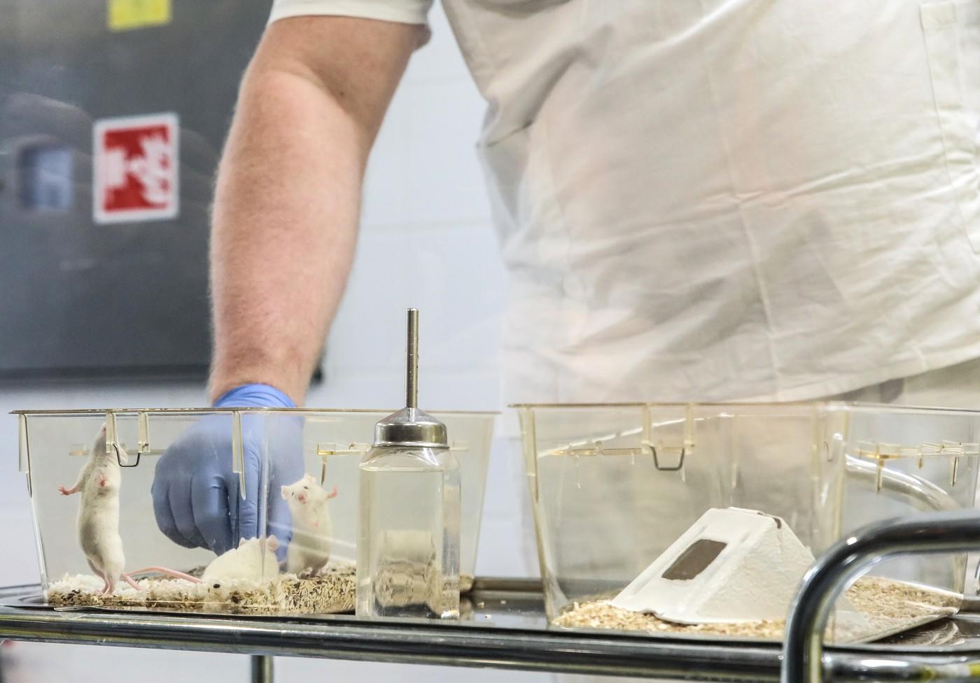 ilustrační foto ilustrační foto