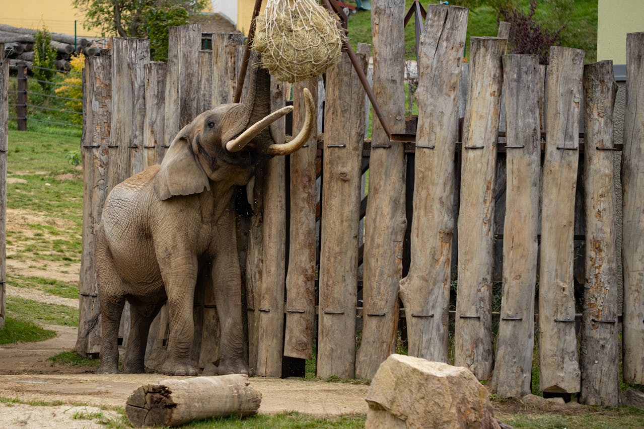 ilustrační obrázek