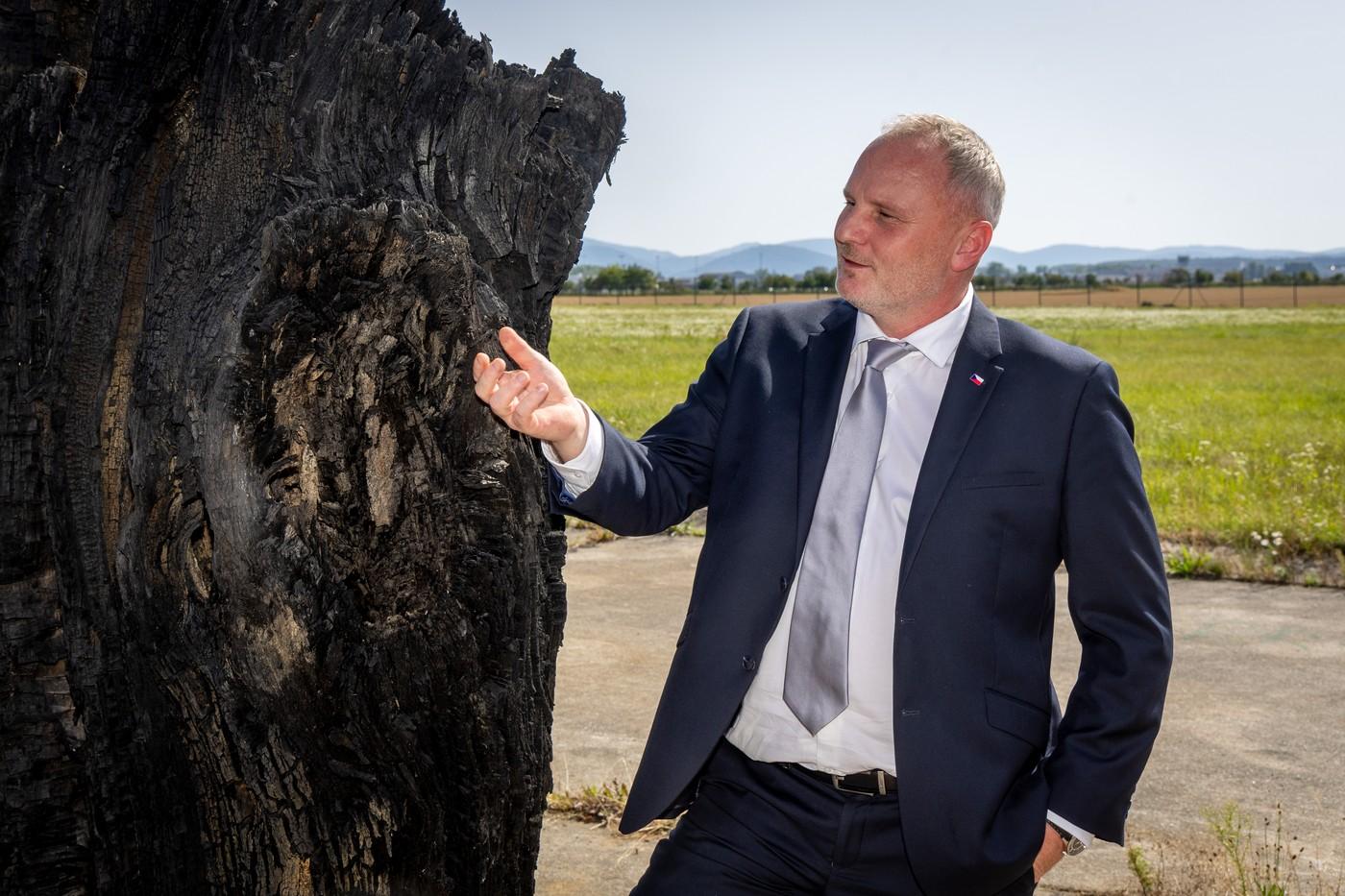 Exponáty projektu Forest of Civilizations - Les civilizací, tvořený 133 monumentálními exponáty ze subfosilních dubů starých přibližně 6 500 let