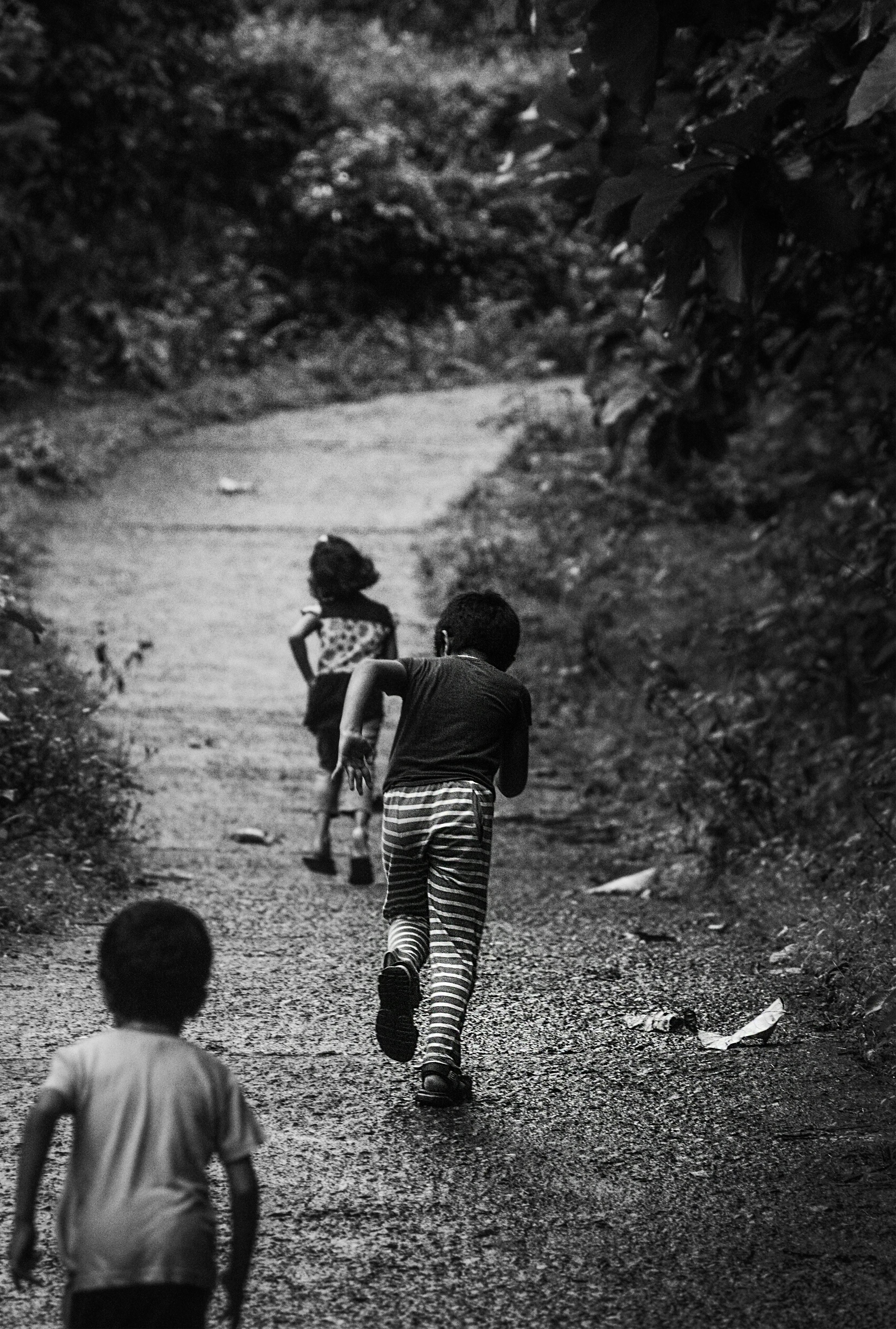 ilustrační fotografie